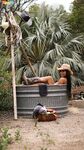 Ebony cowgirl Jenna J Foxx with juicy tits is tempted by married man