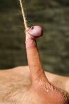 Men In Pain starring Danny Wylde, Penny Flame, Sir C Hot Porn