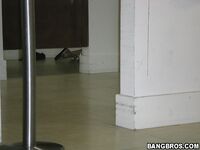 Well known pornstars show off their bodies & blow off a lucky dude