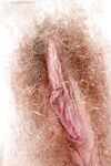 Chubby amateur Alma strips naked to bare big boobs and hairy pussy