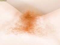 Redhead amateur Scarlett Rose displays hairy bush after getting rid of panties