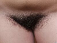 Caucasian solo girl uncovers big naturals before showing her full bush